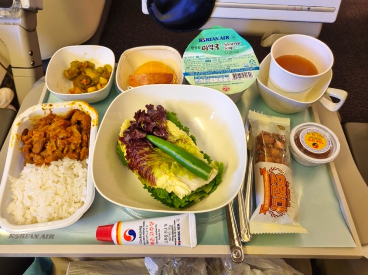  인천 네덜란드 암스테르담 직항 비행기 대한항공 KE925 탑승 후기