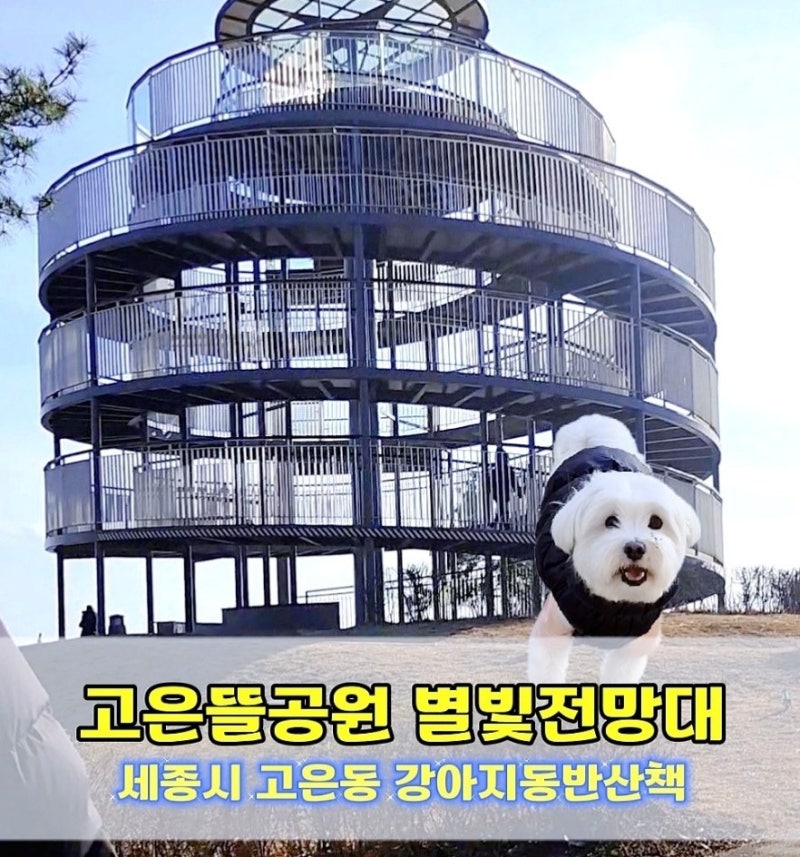 사진 3
