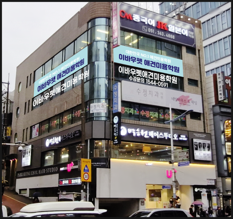  부산 애견미용학원 취업 창업에 꼭 필요한 교육만