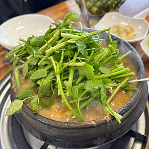 [광주] 유동맛집 고소한 국물일품 오리탕맛집, 영양오리탕