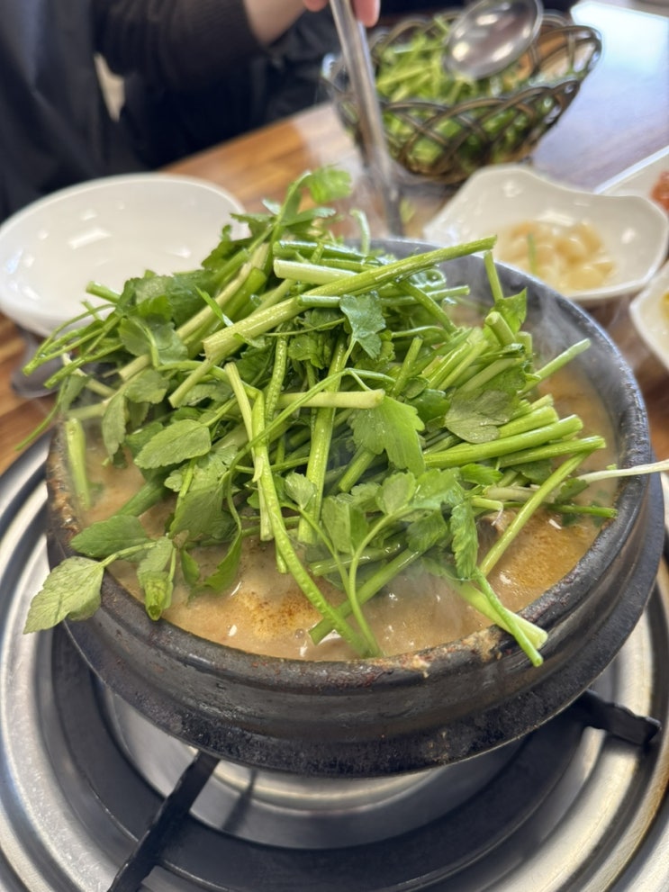 [광주] 유동맛집 고소한 국물일품 오리탕맛집, 영양오리탕