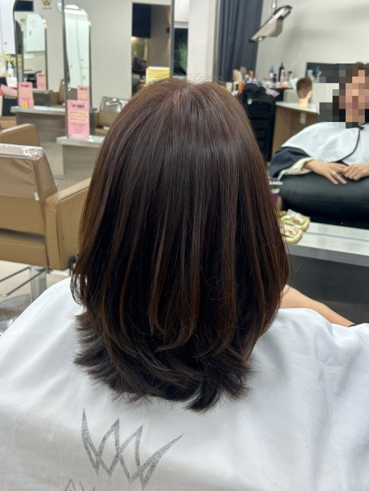 일원역미용실 에이바헤어에서 뿌염과 컷트하고 온 후기