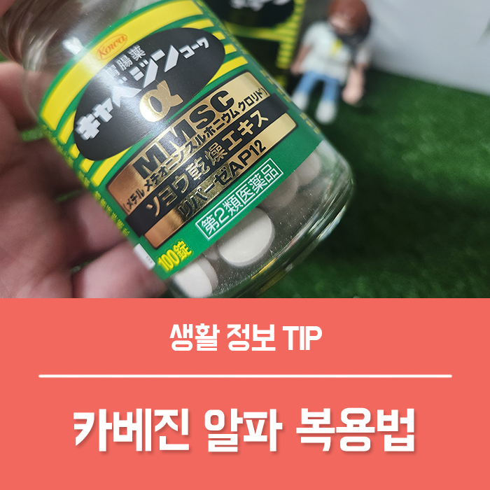  카베진 알파 복용법 일본 위장약 효능 부작용, 양배추환 양배추약 총정리!
