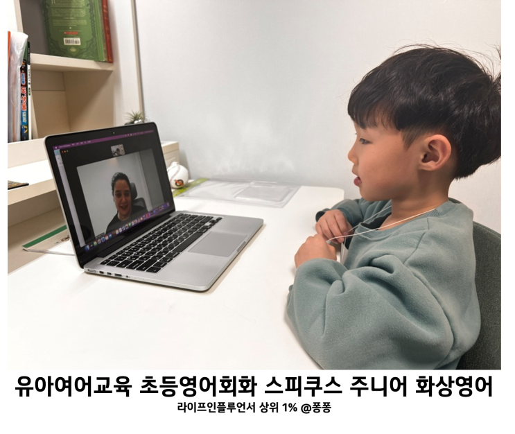  유아 영어 교육 초등 영어회화 주니어 화상영어 스피쿠스 원어민 어린이 화상영어 추천