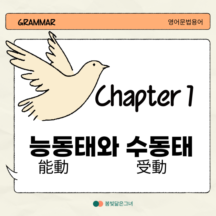  영어문법 능동태 vs 수동태 동사원형, 과거형, 과거분사 pp형 외우기
