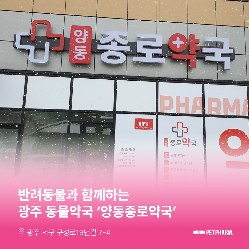 양동종로약국 사진 1