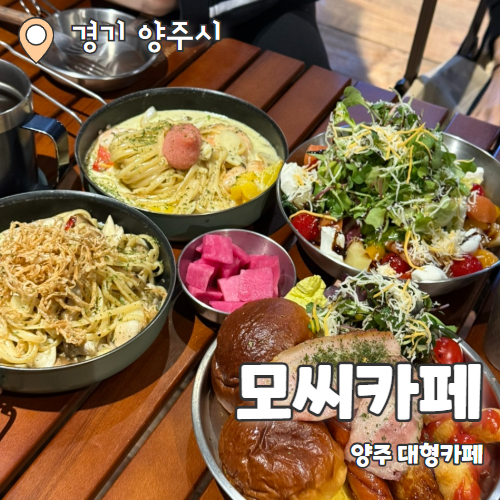  모씨 카페 : 캠핑감성 가득한 양주 브런치 대형카페 내돈내산 추천후기