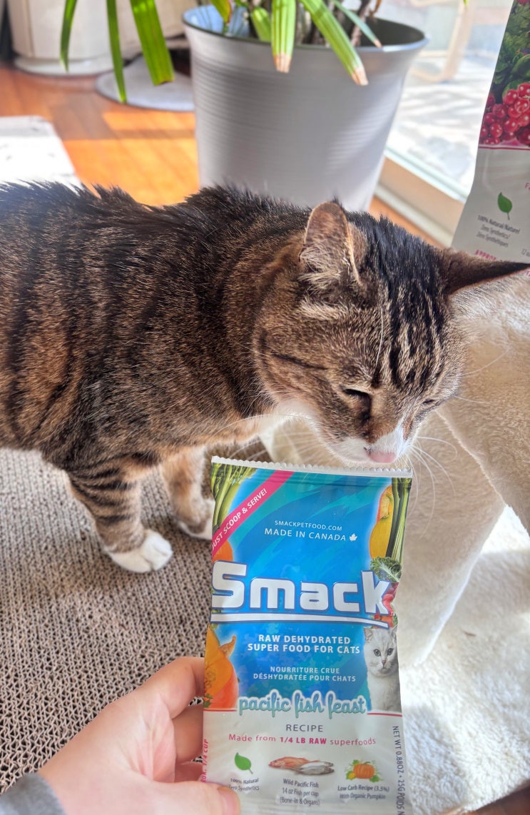  저온건조 고양이 사료 브랜드 스맥_고양이 생식 사료 Smack 로푸드