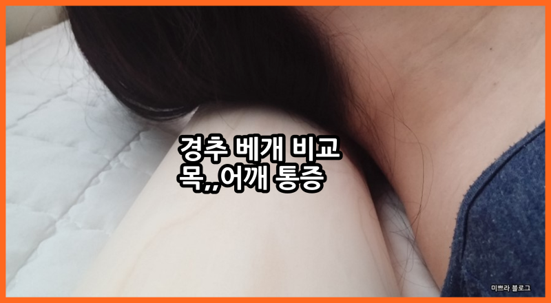 편백나무 경추베개 VS SNPE 경추베개 VS 라텍스 경추베개 비교 후기 거북목 두통 BYE