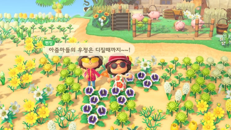  더 이상 미룰 수 없다 너의 대학 나의 블로그