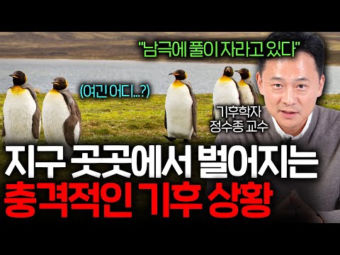풀로 뒤덮여 가는 남극의 충격적인 모습 (펭귄은 어디에..?) 풀로 뒤덮여 가는 남극의 충격적인 모습 (펭귄은 어디에..?)