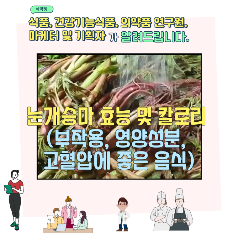  눈개승마 효능 및 칼로리 (부작용, 영양성분, 고혈압에 좋은 음식)