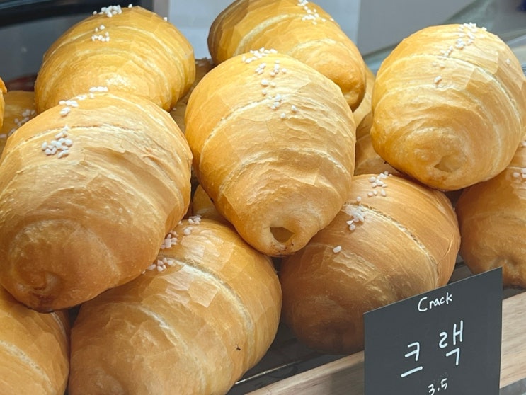  천안 카페 돌치베이커리 불당동 소금빵 구움과자