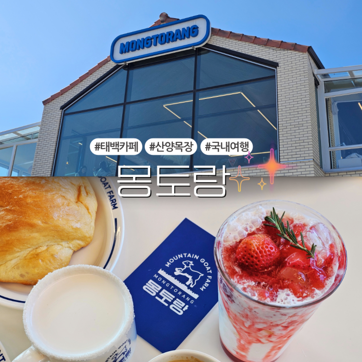  태백 겨울축제 가족여행 분위기 좋은 카페 추천:: 몽토랑산양목장&몽토랑제빵소