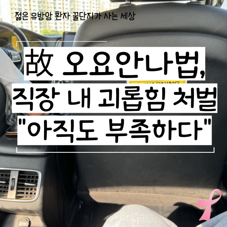  故 오요안나법 직장 내 괴롭힘 단 1회만으로 처벌, 함정은