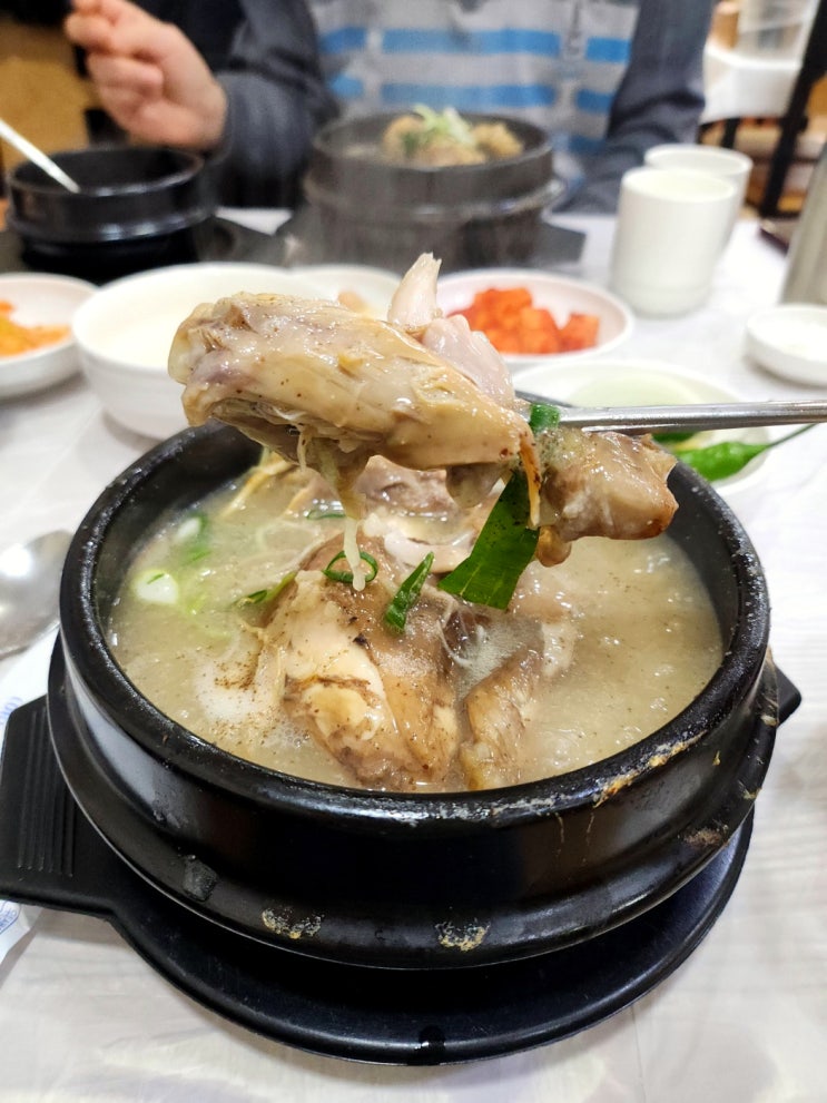  여수 학동 맛집 여수 현지인 맛집 학동 삼계탕 명성참옻닭