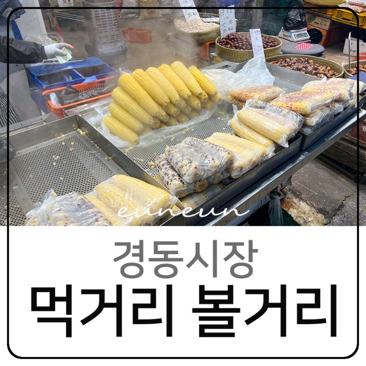  청량리 경동시장 먹거리 볼거리 구경하기