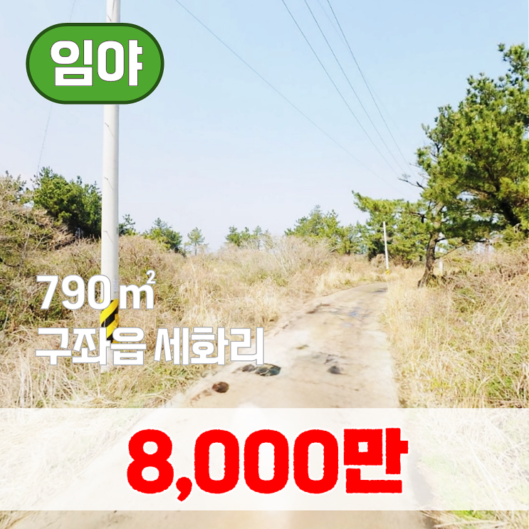  【매매】 다랑쉬오름 인근 소액 투자 임야