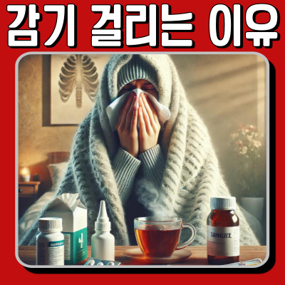 감기 왜 걸리는 걸까? 바이러스부터 면역력까지 총정리!