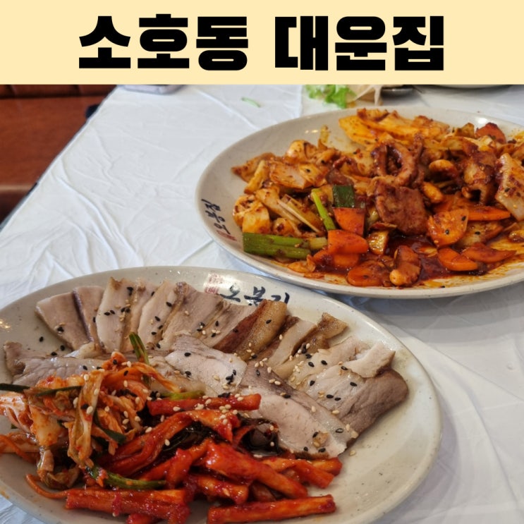  낙지볶음과 보쌈이 맛있는 곳, 소호동 여수 대운집