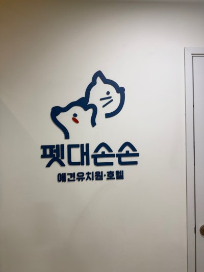 사진 7