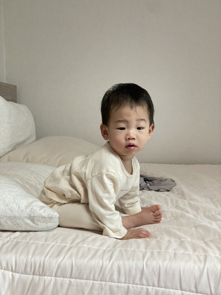  24년 겨울을 보내고 25년 새해 맞이하기