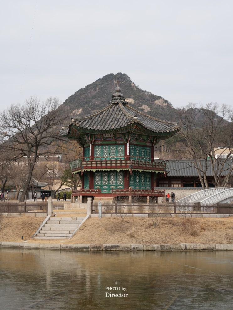 경복궁 겨울 산책, 향원정까지 걷는 길 & 수문장 교대식 시간까지!