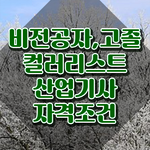  컬러리스트산업기사 자격 요건 컬러리스트산업기사 응시조건 인강만 듣고 간편하게 성공한 노하우