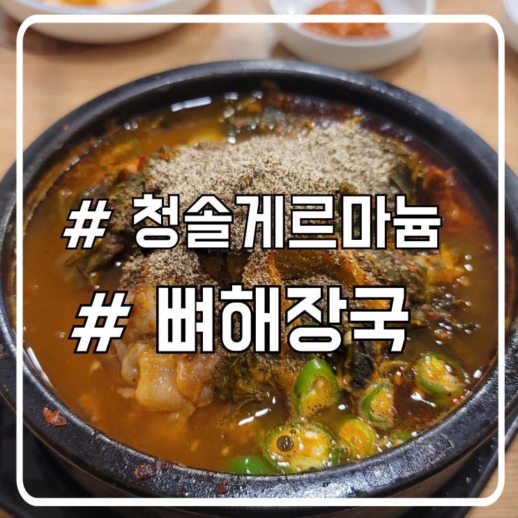  서울 여행 중 먹을만한 곳 서초 뼈해장국 맛집 청솔게르마늄감자탕