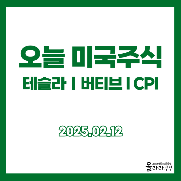  2월 12일(현지시간) 오늘 미국주식 버티브 테슬라 CPI