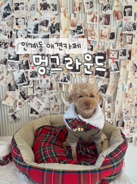 사진 2