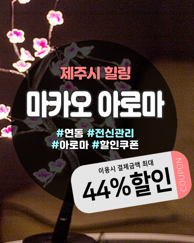  제주연동마사지, 프라이빗하게 힐링할 수 있는 마카오아로마