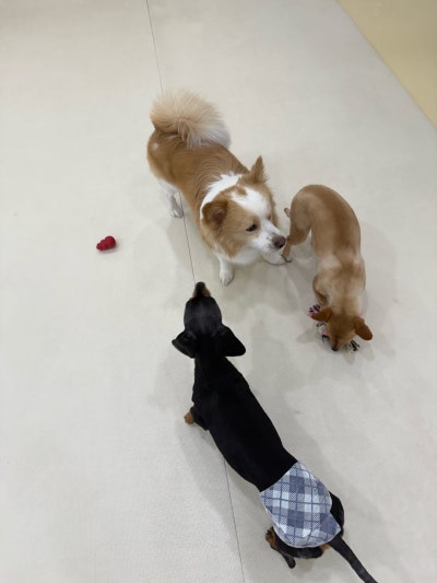 사진 9