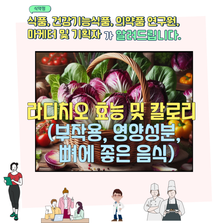  라디치오 효능 및 칼로리 (부작용, 영양성분, 뼈에 좋은 음식)