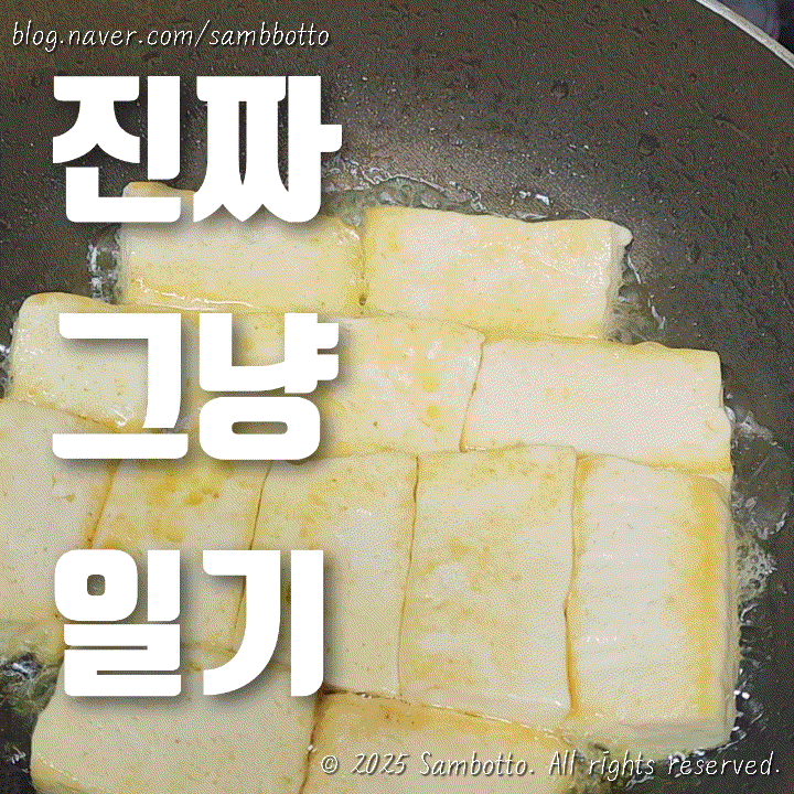  진짜 그냥 일기 | 어쩌다보니 간헐적단식중, 오늘도 내일도 건강도시락
