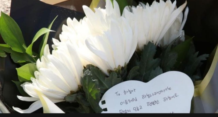 "8살 <b>초등생 살해</b>한 <b>교사 신상</b>"  지금 대전 맘카페가 발칵... 