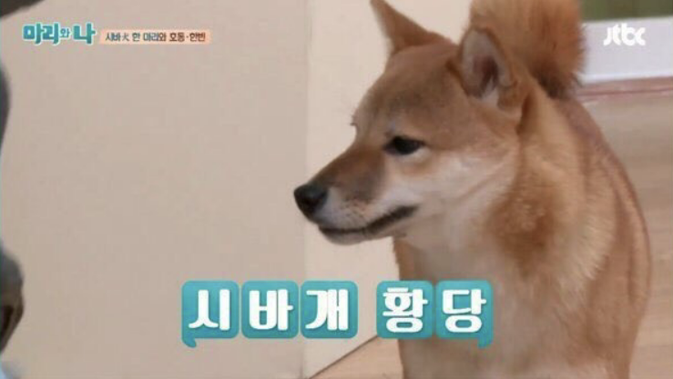  이천 반도체 융복합센터 부악공원 꿈자람센터 내 들어설듯