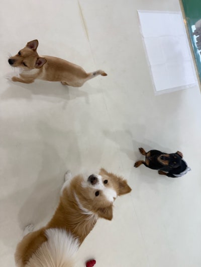 사진 8