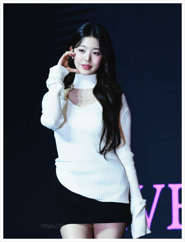  대전 초등학교 사건 김하늘양 유족 장원영 애도 요청