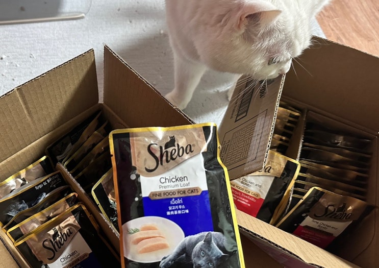  [고양이 습식사료] Sheba 쉬바 닭고기 무스