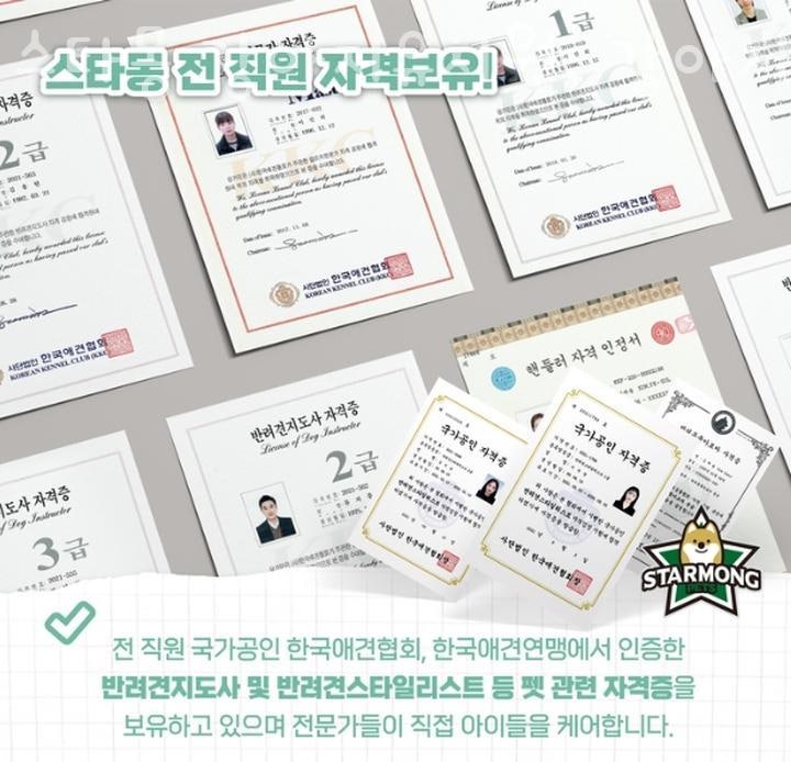 사진 3