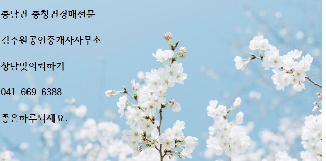  2025년2월13일 목요일 충남권 충청권경매전문 김주원공인중개사사무소에서 상가건물임대차보호법 판례를 전해드립니다. 경매상담및의뢰 041 669 6388