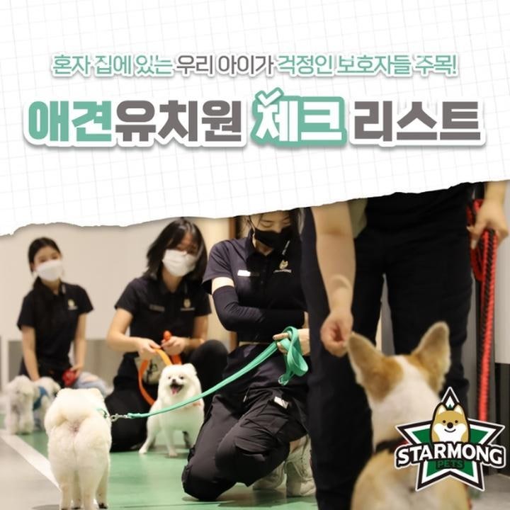 사진 2