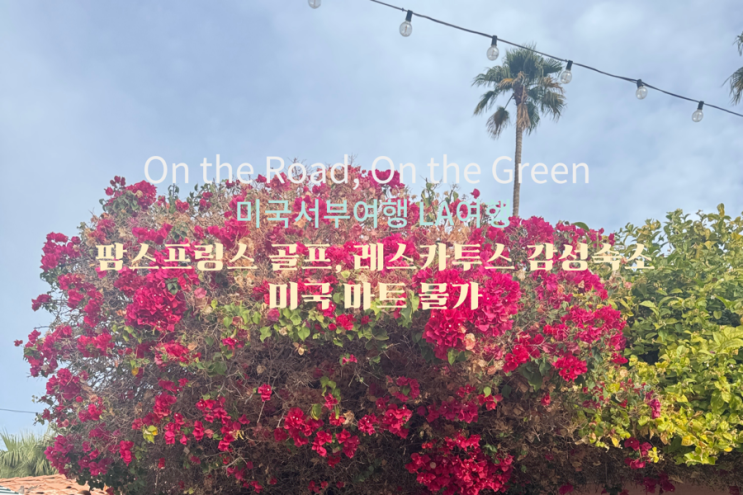  4. 미서부19박 20일 la근교 팜스프링스 감성숙소 레스카투스, 커씨드럴 골프클럽,조슈아트리 에어비엔비 숙소 추천 미국마트 물가