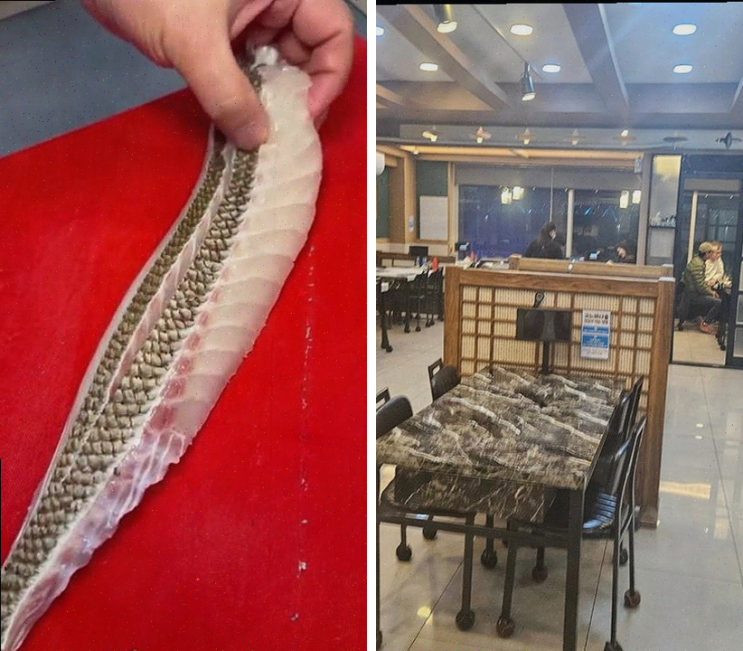  부산 광안리 맛집 금랑횟집, 프라이빗한 공간에서의 특별한 회식