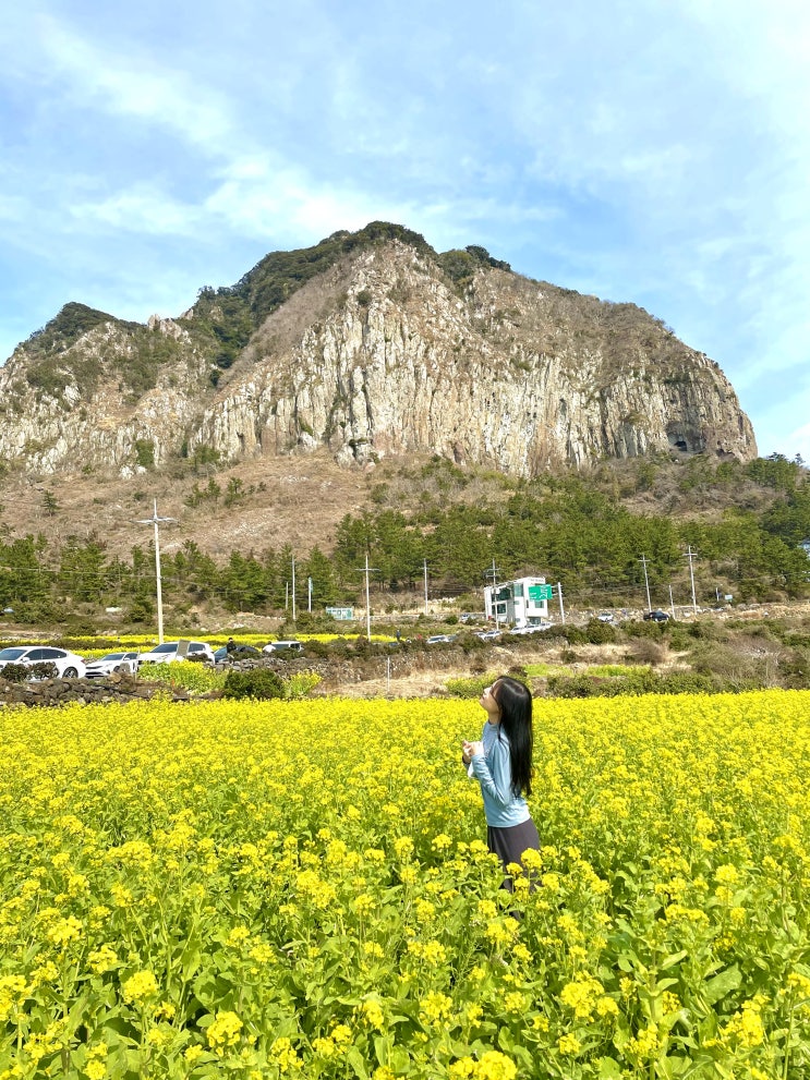  [제주도 여행 준비] 가족 한라산 등반 / 롯데 렌트카, 난타호텔, 항공권 등