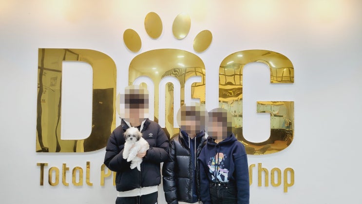  세종시 강아지분양 , 고1·중2 아드님과 파티 말티푸 왕자님 입양 후기! 원독 애견분양센터