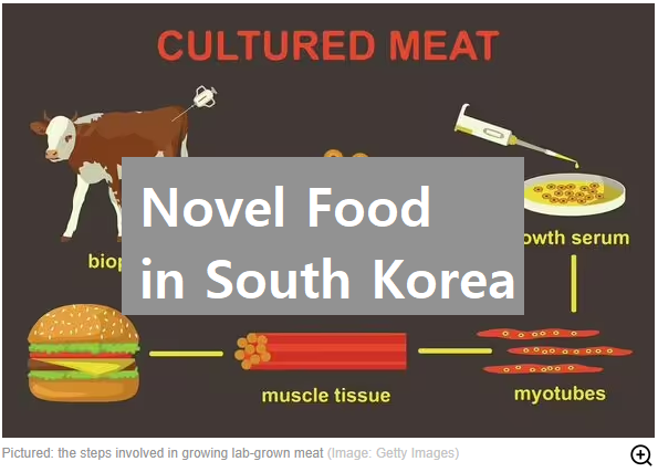  Novel Food Registration in South Korea