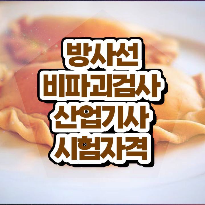  방사선비파괴검사산업기사 자격요건 온라인 과정으로 빠르게 끝낸 노하우
