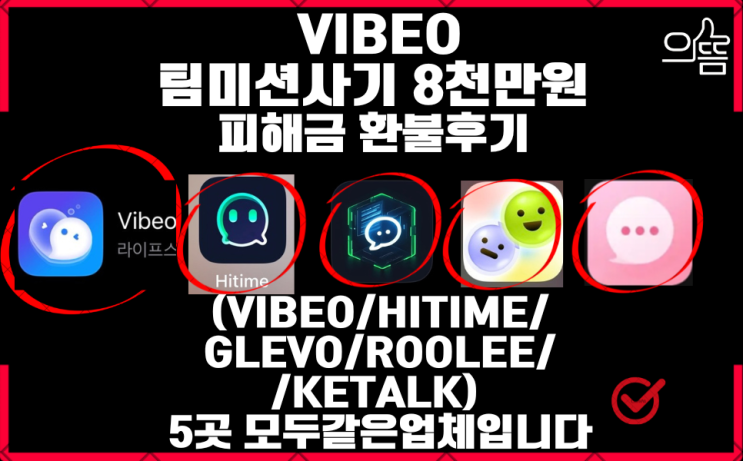  Vibeo 팀미션사기 지급정지로 피해금 되찾은후기(feat.비베오 인스타부업사기)